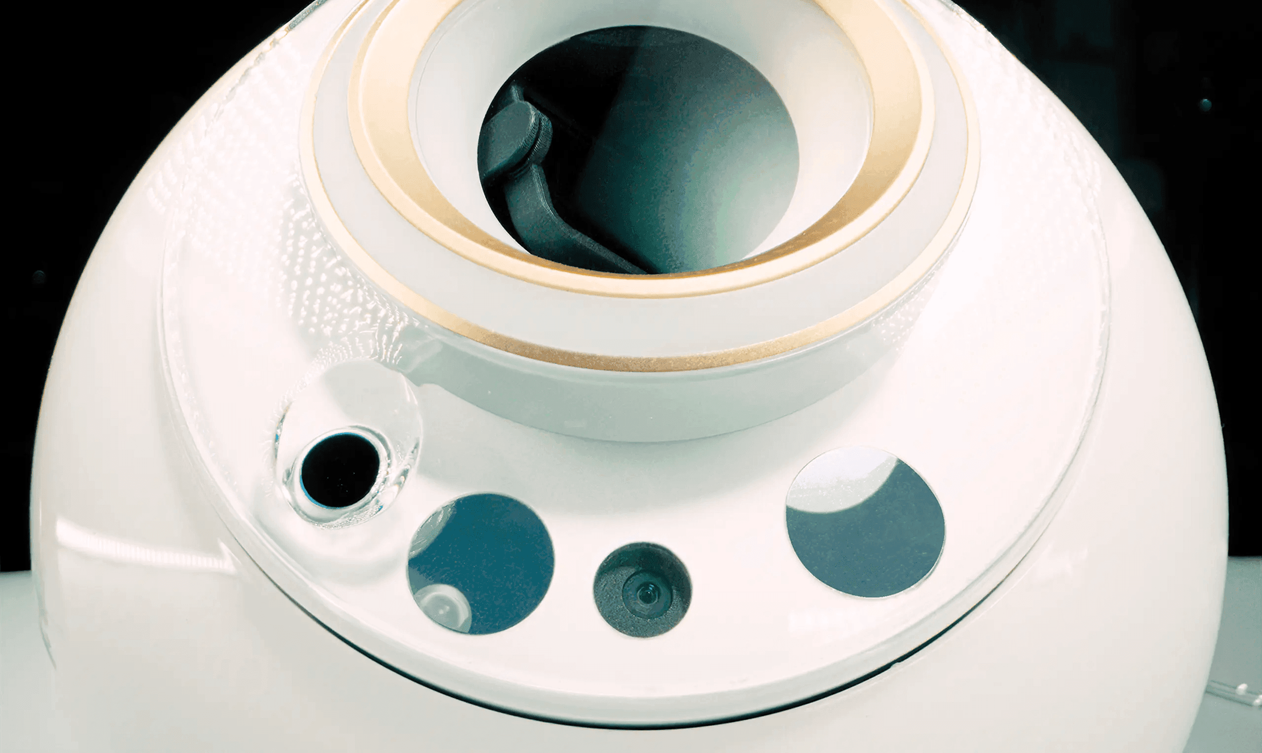 Orb Biometric Device